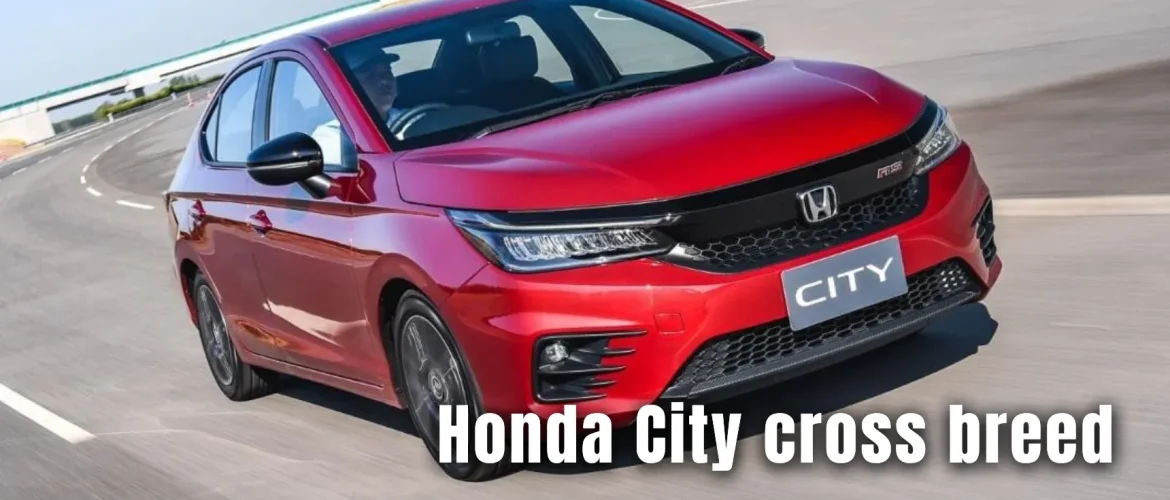 Honda City cross breed presently as it was accessible in top-spec ZX trim