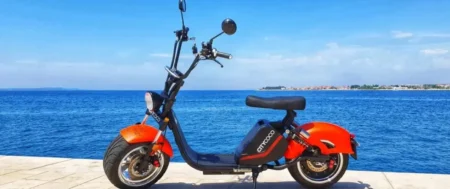 Affordable City Coco And PATOYS Electric Scooters India