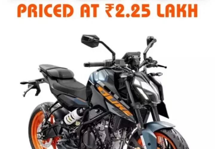 Duke 250 All Model Describe This Article